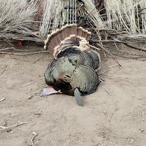 Meet your Posher, Paul